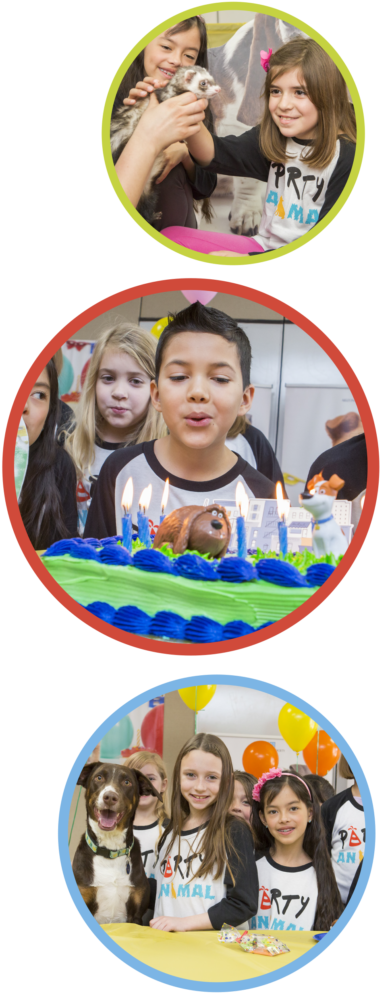 This Year, Host A Party Your Guests Will Howl For - Birthday Party (394x1024), Png Download