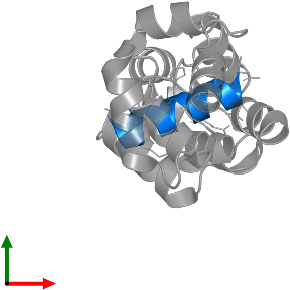 Protein Data Bank (800x800), Png Download