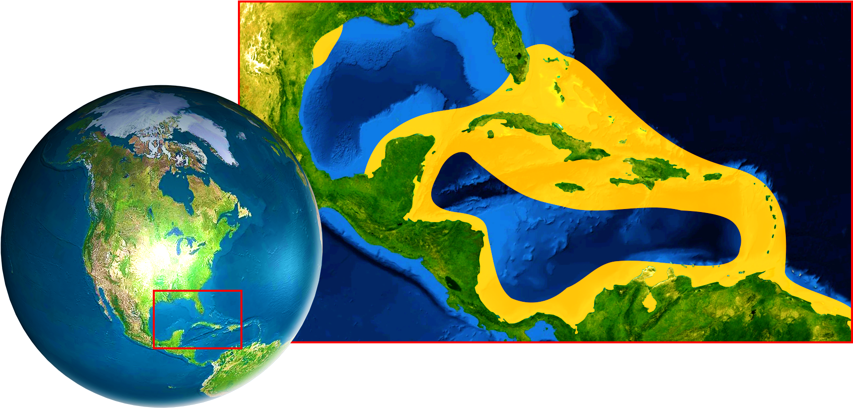 Catching And Selling Nassau Groupers Is Banned In Several - North America (1800x897), Png Download