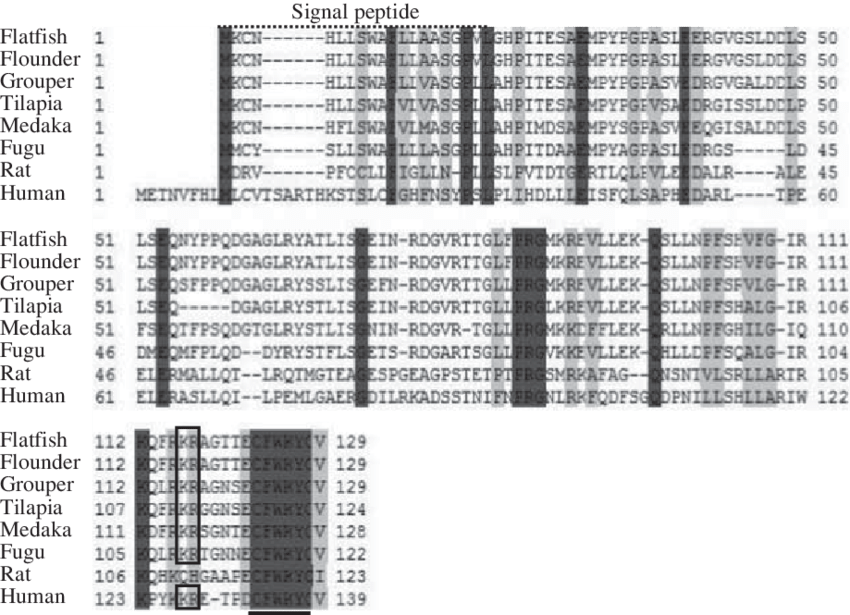 Alignment Of Orange-spotted Grouper Uii Precursor With - Monochrome (850x615), Png Download