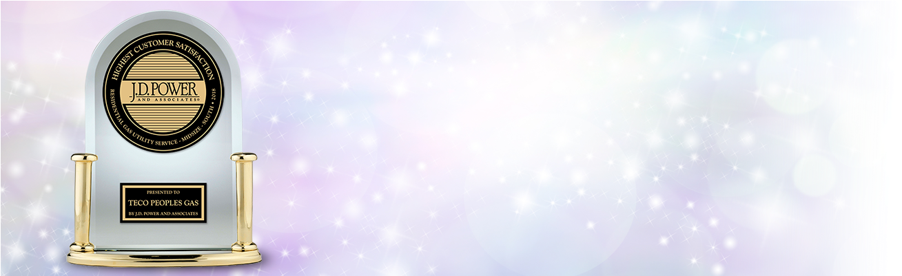 Thank You Again - Emerson Thermostats Sensi Wi-fi Programmable Thermostat (1920x400), Png Download