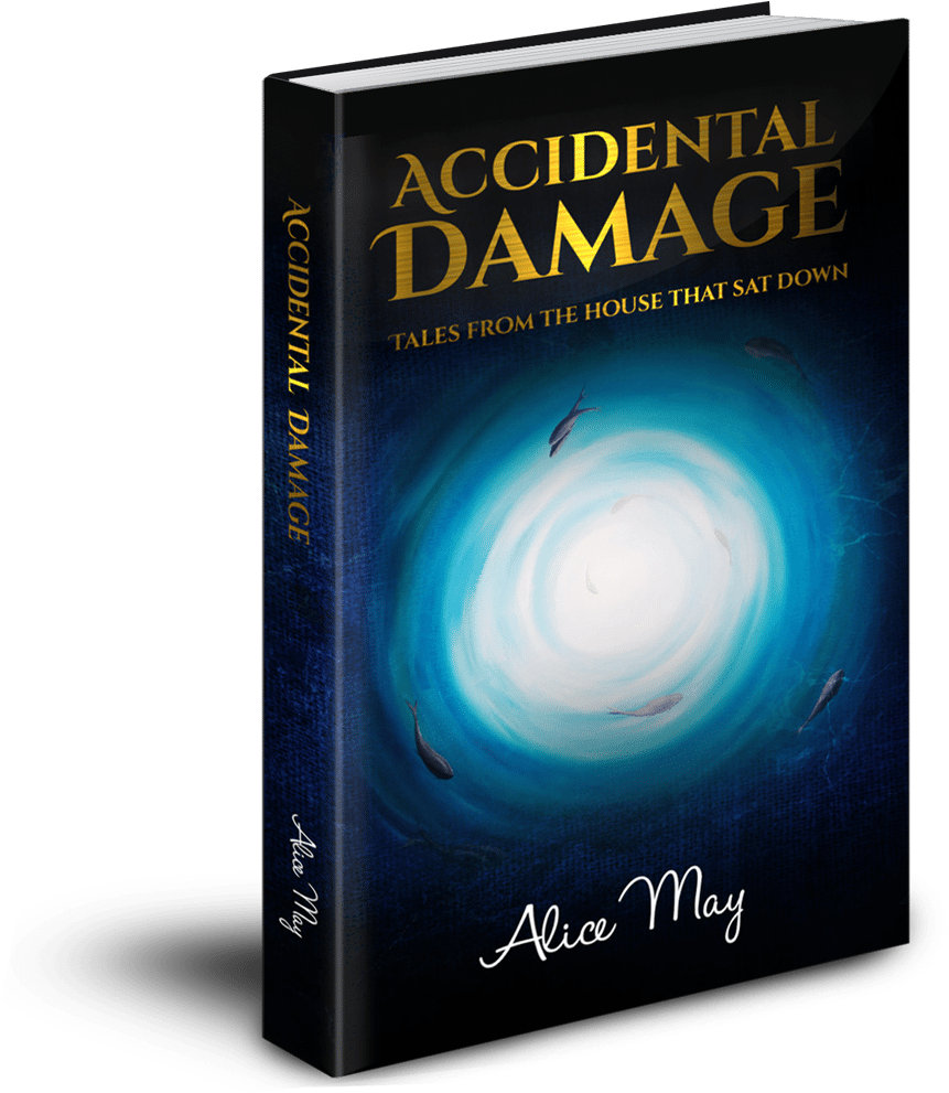 Accidental Damage 3d Transparent Background - Book Cover (890x1110), Png Download
