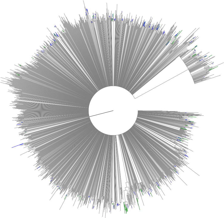 Abstract - Circle (1200x1200), Png Download