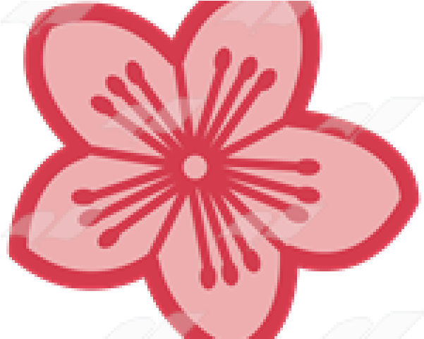Single Clipart Cherry Blossom - Cherry Blossom (640x480), Png Download
