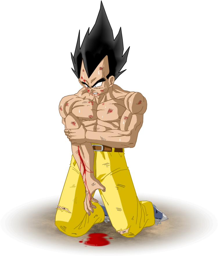 Supafan Union Gallery Style - Vegeta Blesse (757x900), Png Download