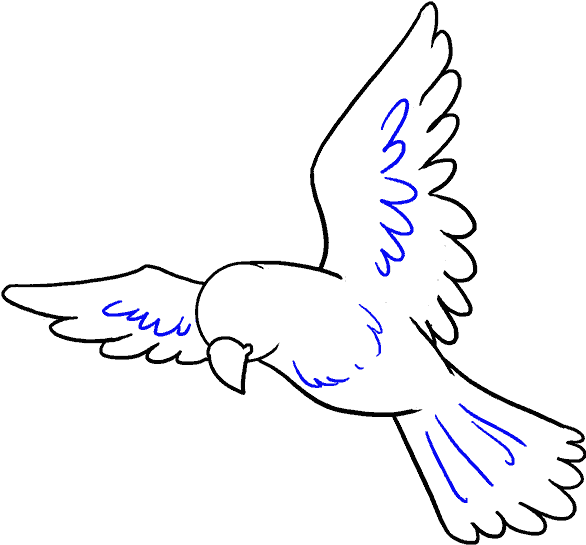 How To Draw Bird - Bird Easy To Draw (678x600), Png Download