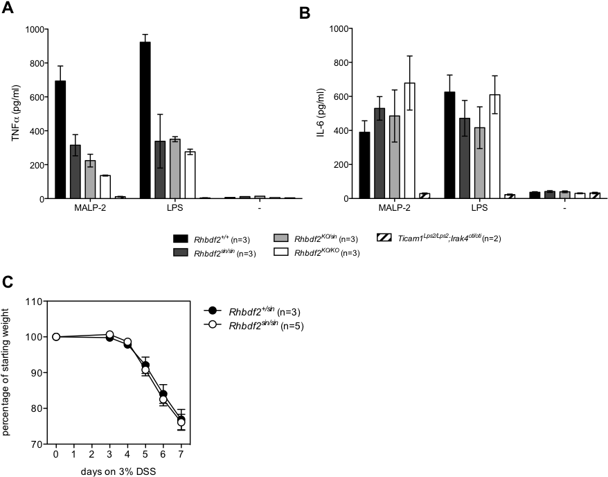 Mutant Alleles Of Rhbdf2 Are Non Complementary, And - Diagram (900x710), Png Download