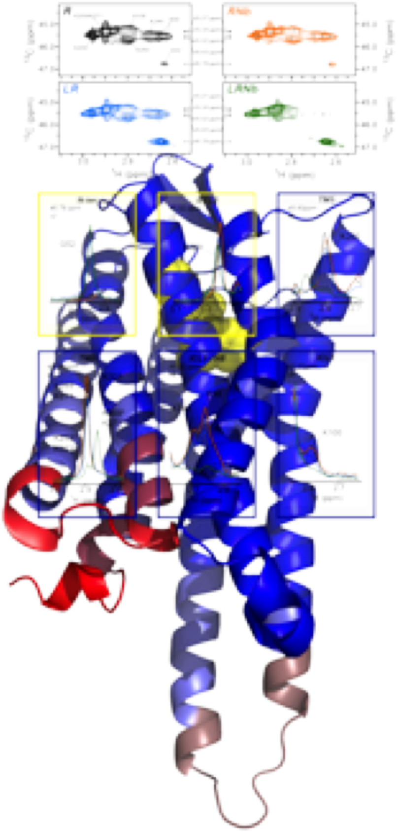 Agonist Binding Promotes Primary Structural Changes - Art (1800x1800), Png Download