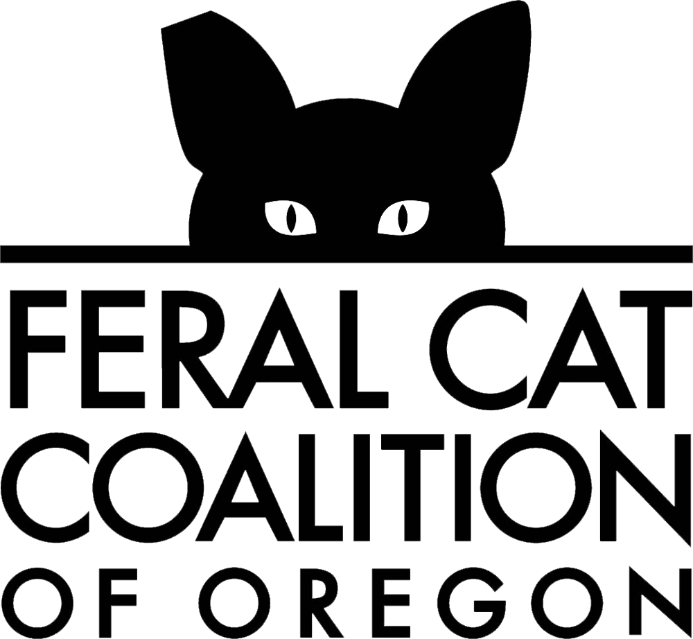 Download - Feral Cat Coalition Of Oregon (1000x922), Png Download