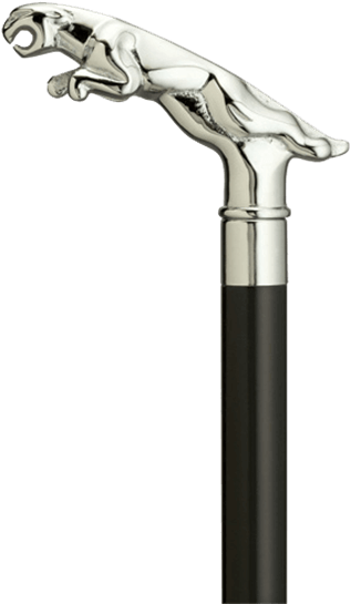 Jaguar Walking Cane - Hc Jaquar Walking Cane (555x555), Png Download