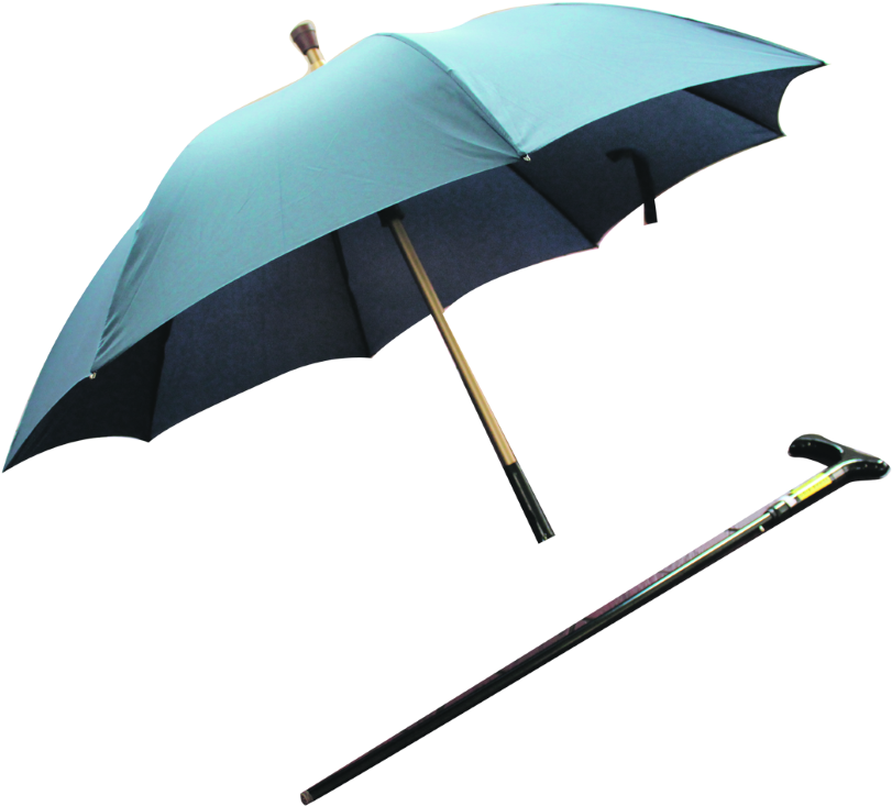 2 In 1 Umbrella And Walking Stick - Umbrella Walking Stick Singapore (915x768), Png Download