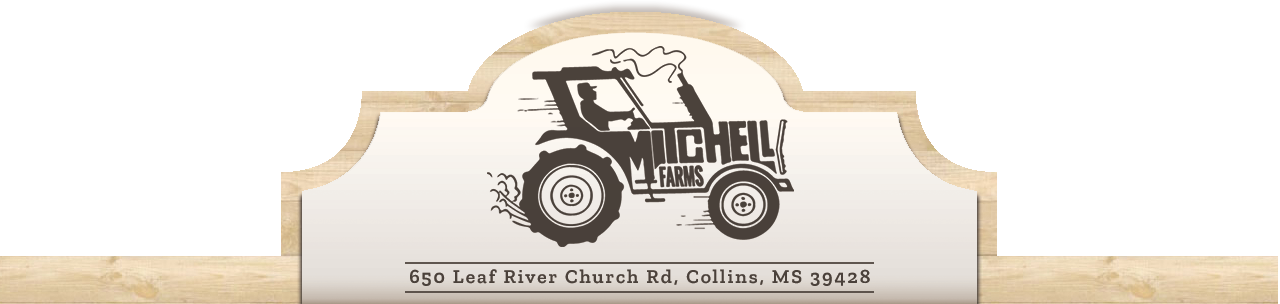 Pumpkin Patch, Wagon Rides, Family Fun And School Tours - Mitchell Farms (1280x304), Png Download