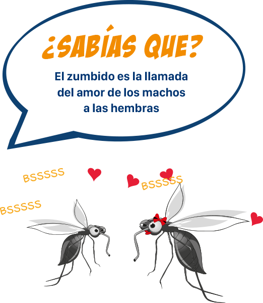 ¿sabías Que (522x600), Png Download