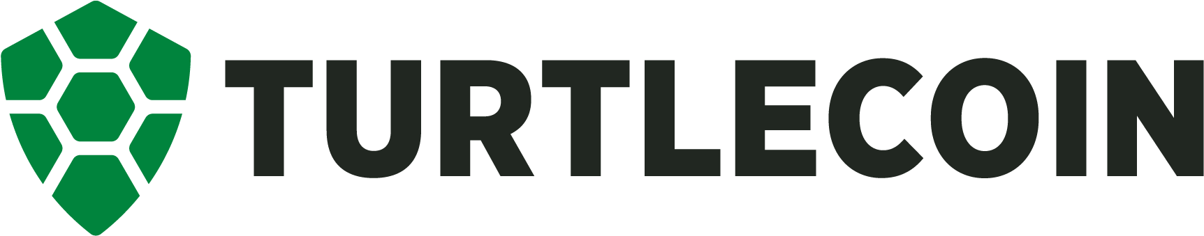 Turtle (1921x537), Png Download