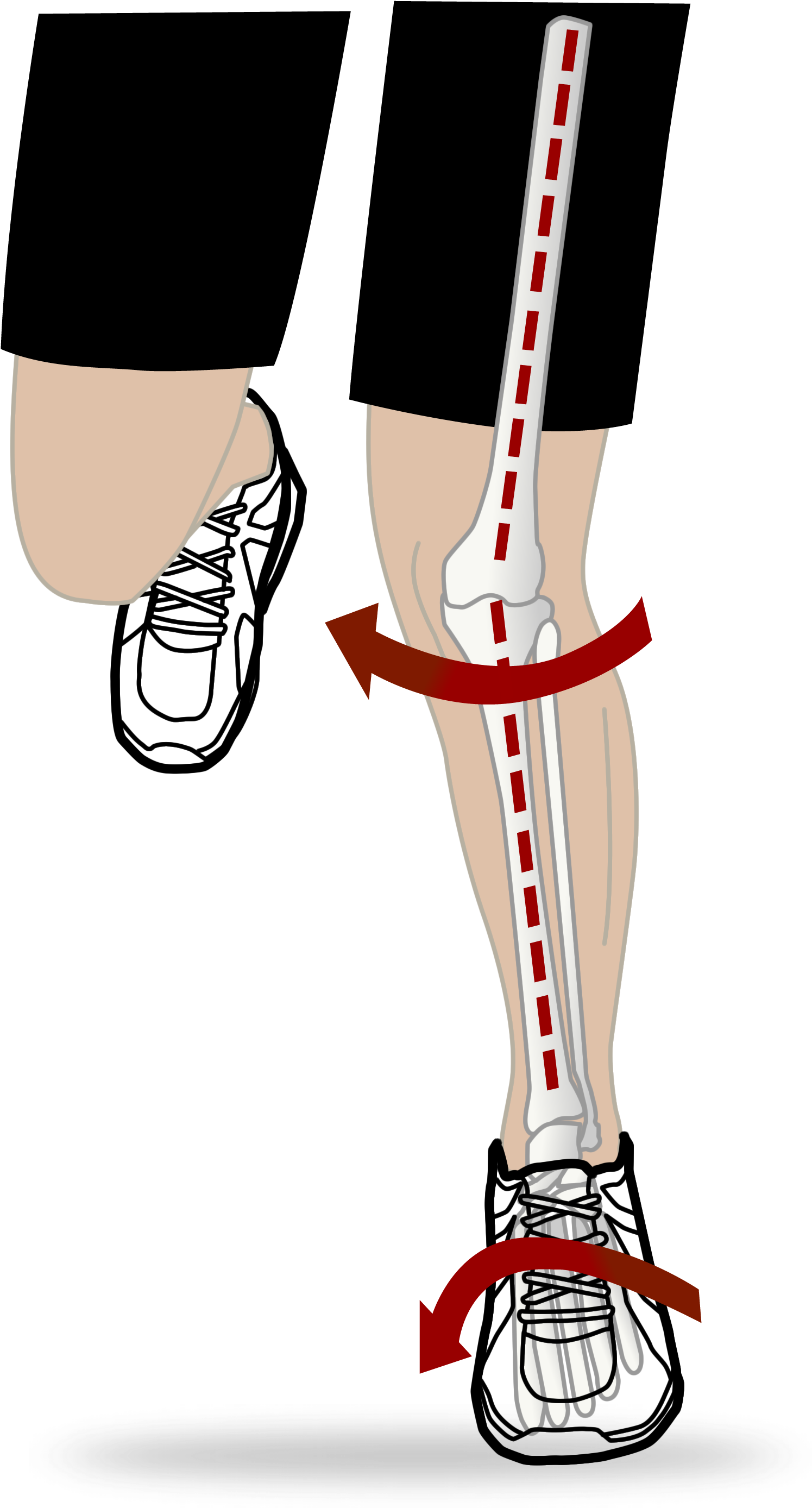 Mechanical Efficiency Diagram Running Front Red - Illustration (1783x2895), Png Download