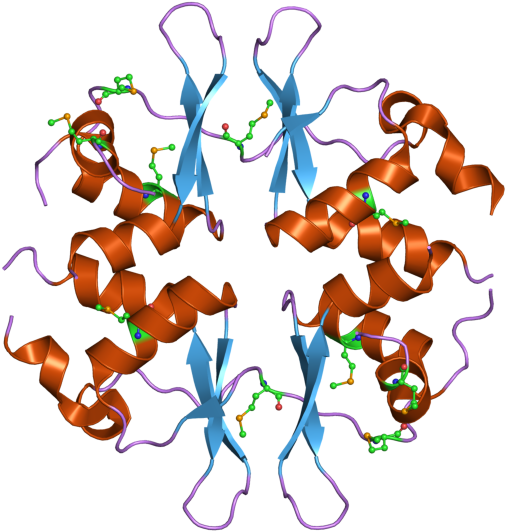 Pdb 2nye Ebi - Structure Of Clcn1 Protein (800x600), Png Download