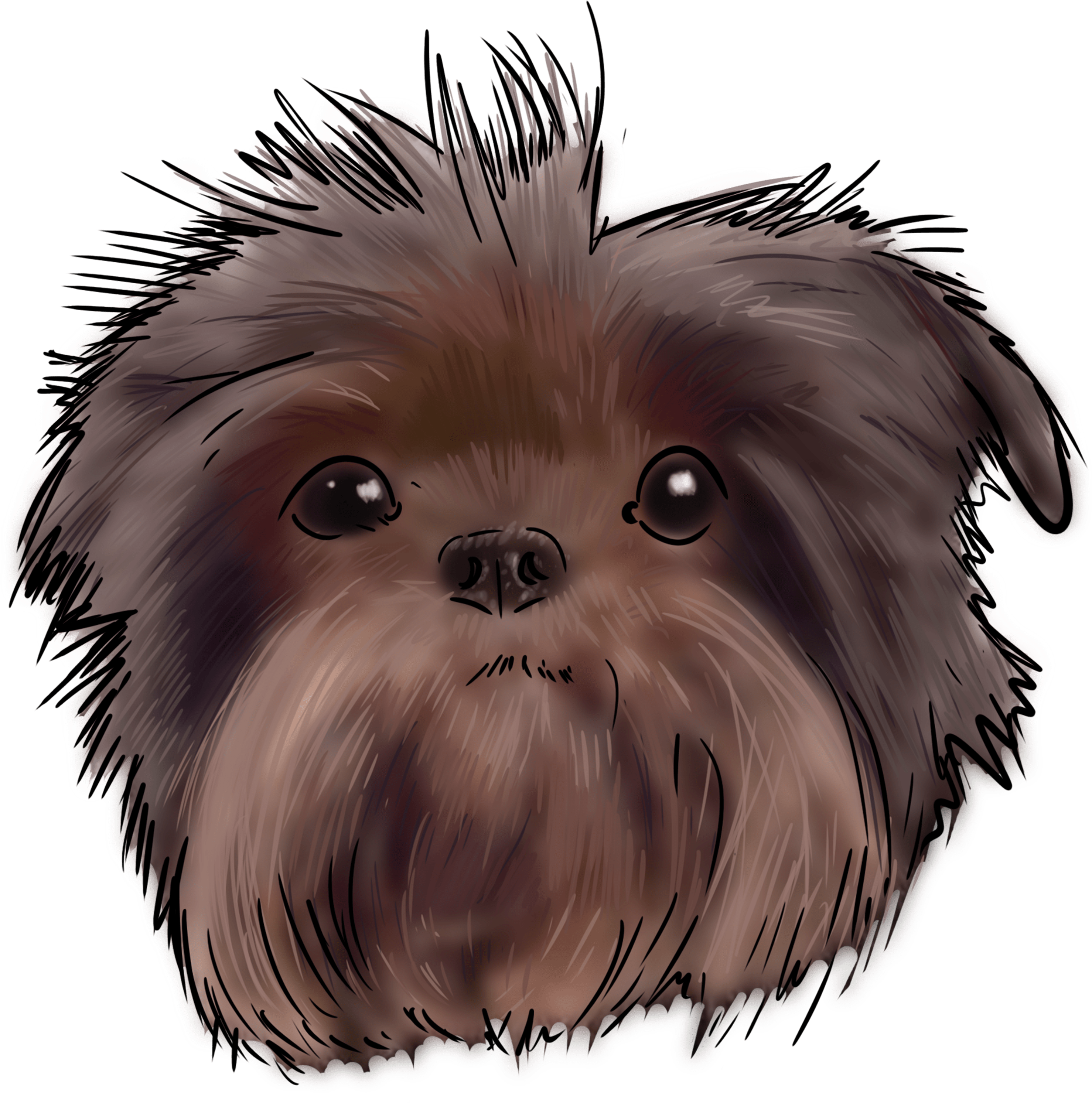 59 Why Are You An Affenpinscher - Affenpinscher (3000x3000), Png Download