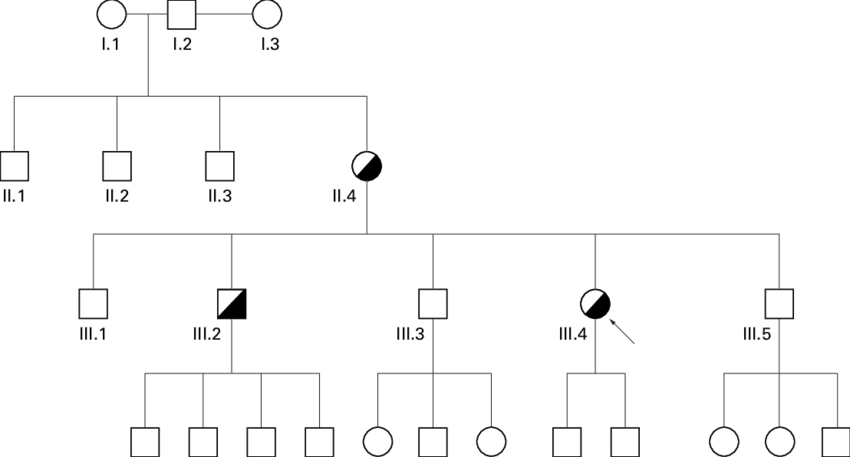 Family Tree Of The Spanish Family - Spanish Family Tree (850x457), Png Download