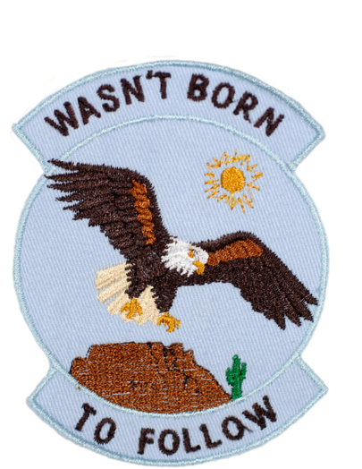 Bald Eagle (600x600), Png Download