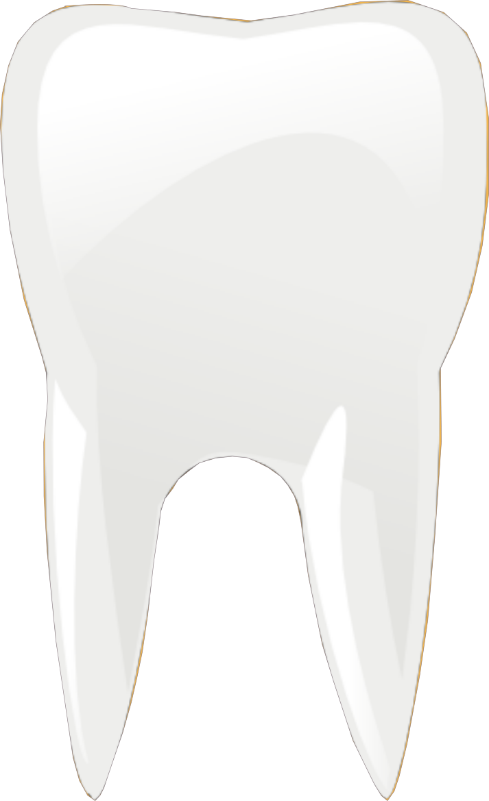 Associate Icon - Human Tooth (713x1169), Png Download