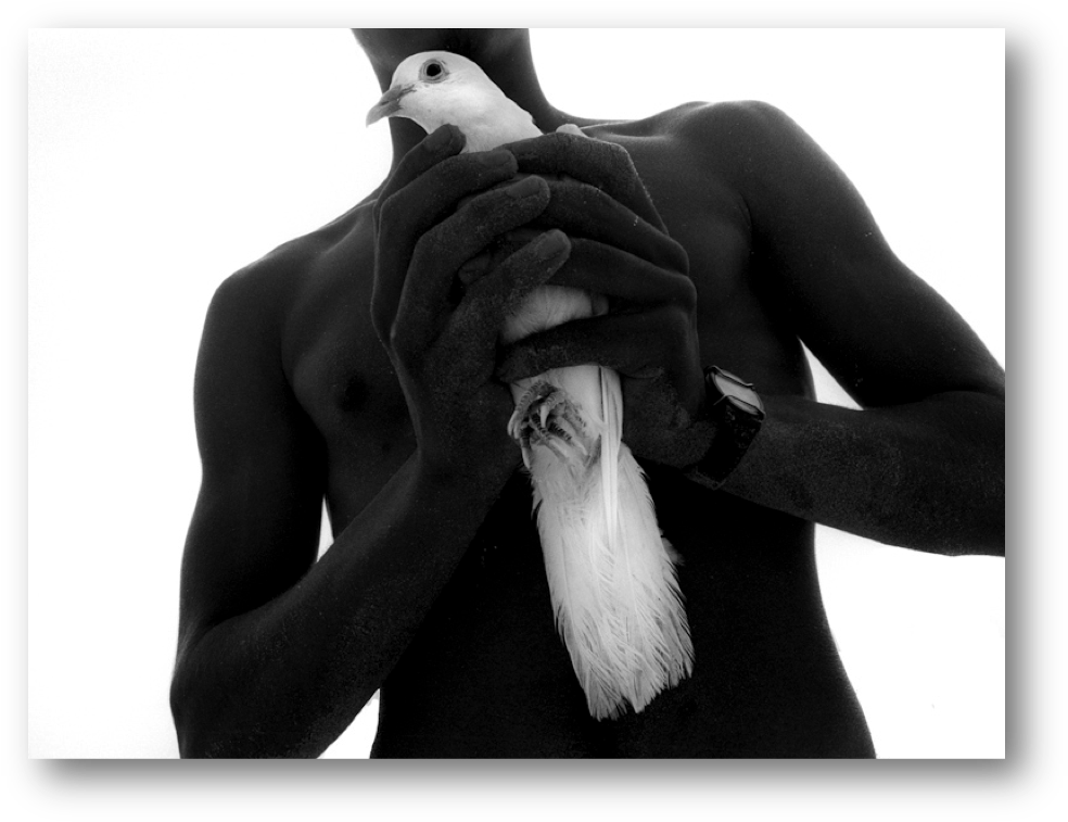 Dove - Human (997x770), Png Download