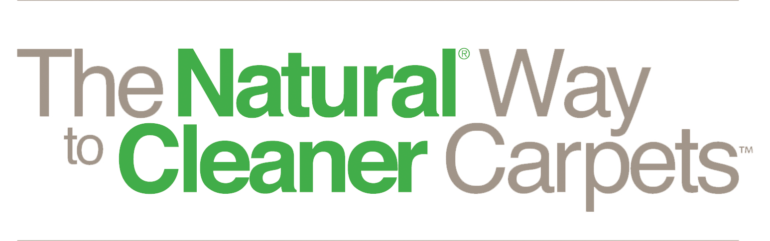 Carpet Cleaning, Upholstery Cleaners & Water Damage - Camtasia Studio 7 (1546x485), Png Download