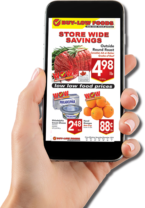 We Do Not Spam, Your Email Address Is Kept Secure - Nutrichef Pkelkn8 Electric Cutting & Carving Knife (499x716), Png Download