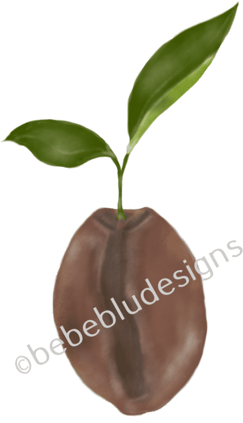 Coffee Bean - Lighter (849x1024), Png Download