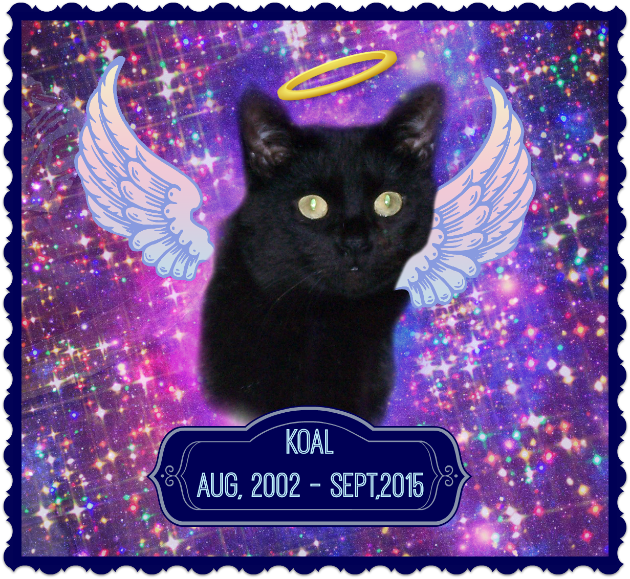 I Didn't Know Koal Very Well, But His Passing Makes - Attaboy Clarence Square Car Magnet 3" X 3" (1231x1132), Png Download