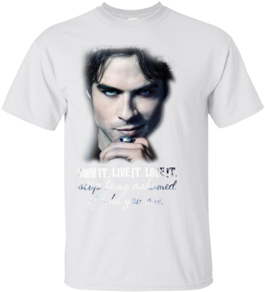 The Vampire Diaries Own It Live It Love It Hoodies - Vampire Diaries Saison 6 Blu-ray - Blu Ray (580x580), Png Download