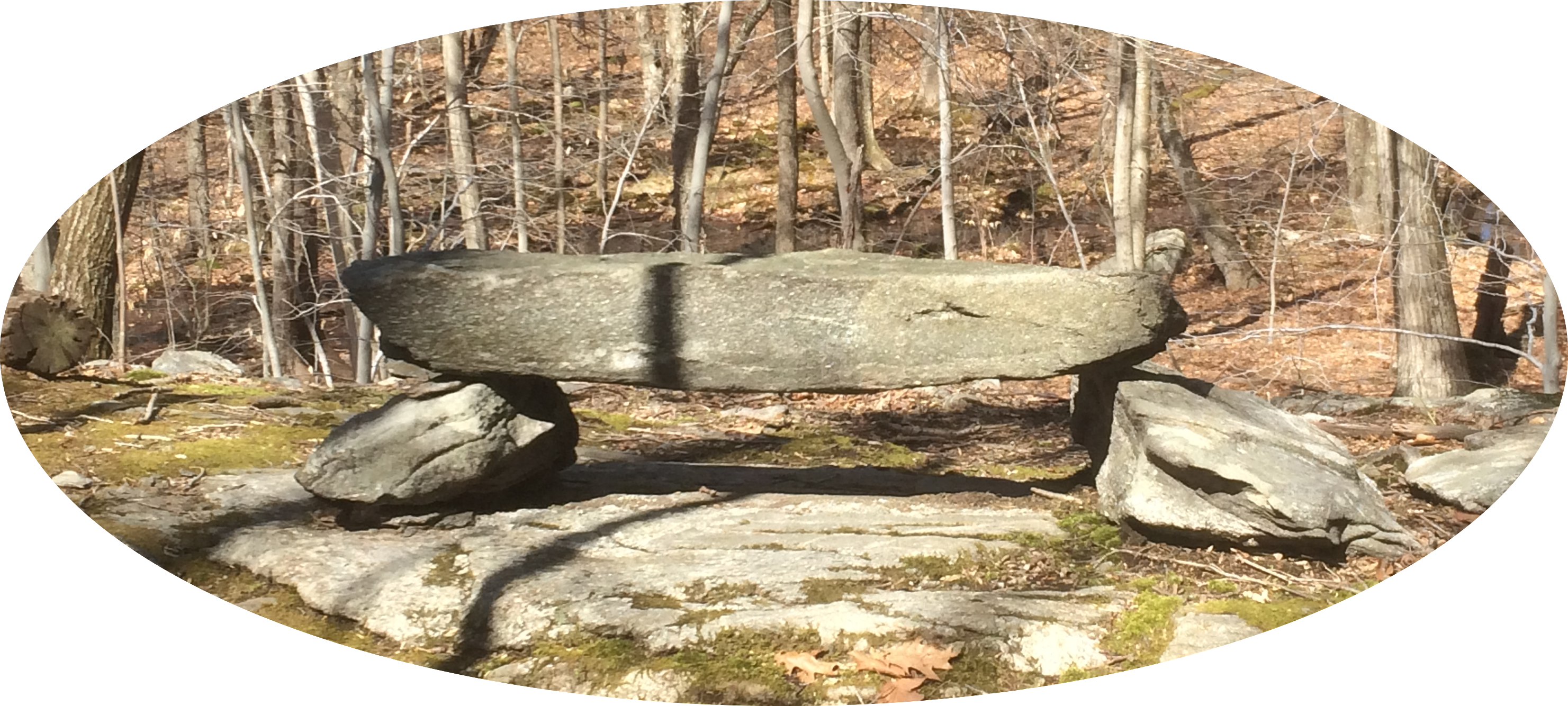 Edit Bench - Wood (2962x1334), Png Download