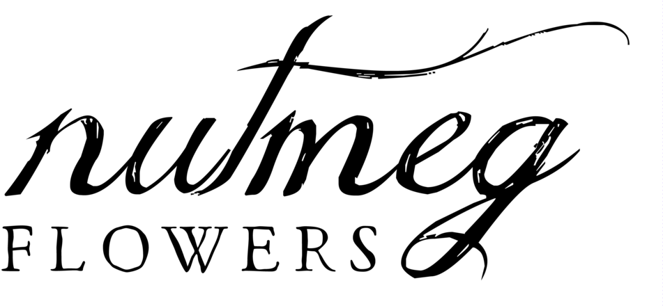 Nutmeg Png (1000x440), Png Download