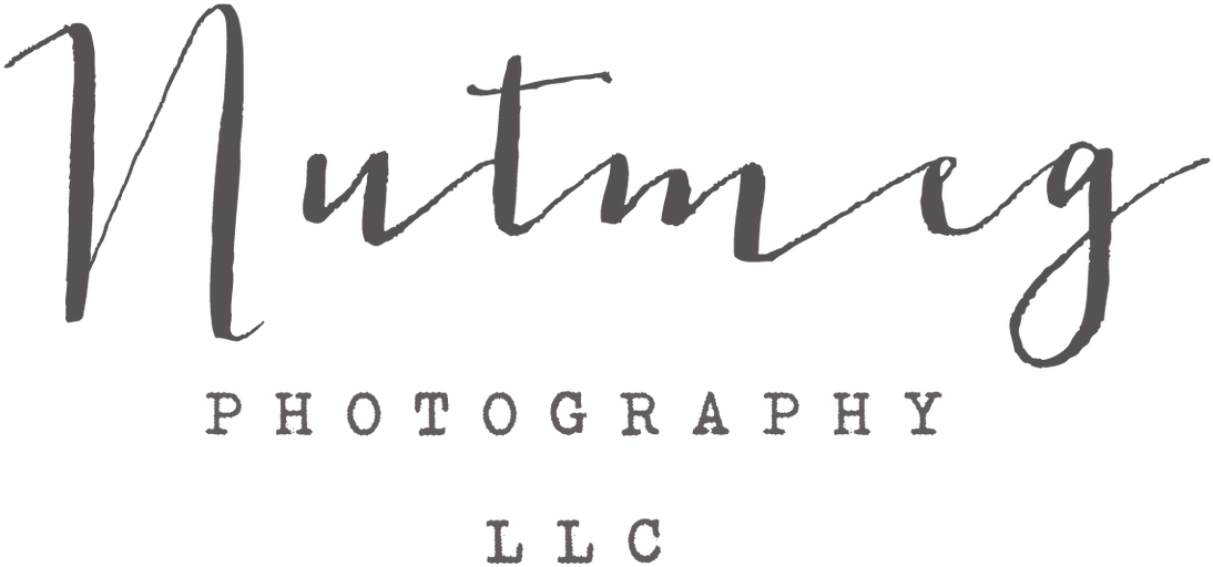 Nutmeg Photography Logo - Blog (1196x644), Png Download