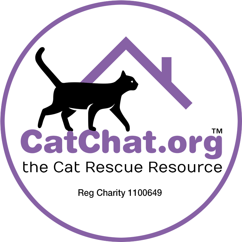 Pr Manager For National Online Cat Rehoming Charity, - Cat (900x900), Png Download