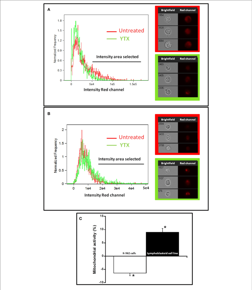 Effect Of Ytx On Total Mitochondrial Mass Of K-562 - Cell (850x976), Png Download