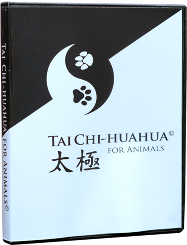 Tai Chi-huahua© - Tai Chi Chuan Bag (500x750), Png Download