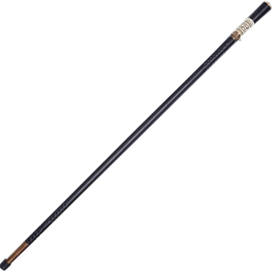 Lion Head Victorian Sword Cane - Shepperd's Rod (555x555), Png Download