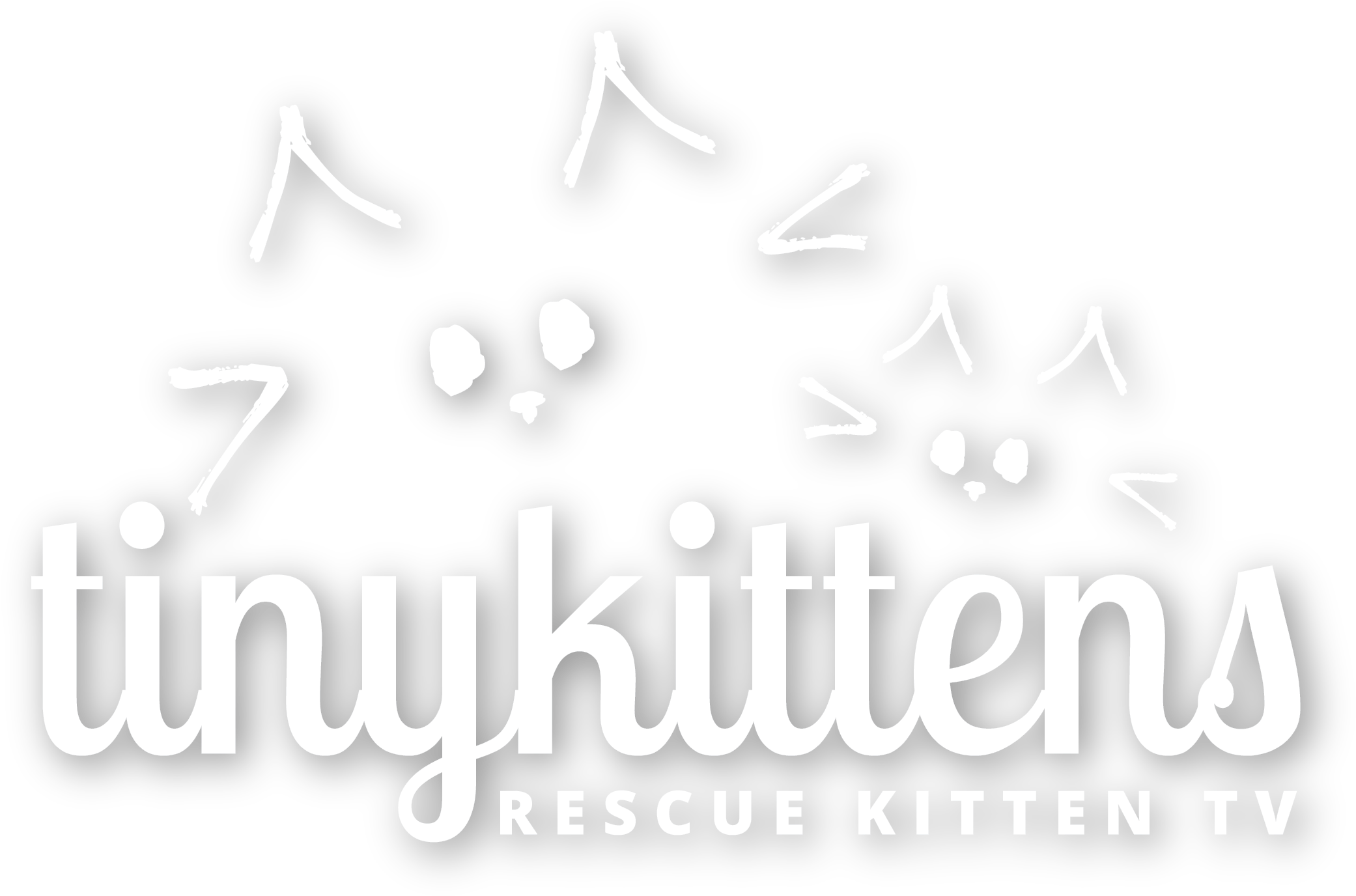 Logo White Rktv - Educating Globally (2100x1440), Png Download