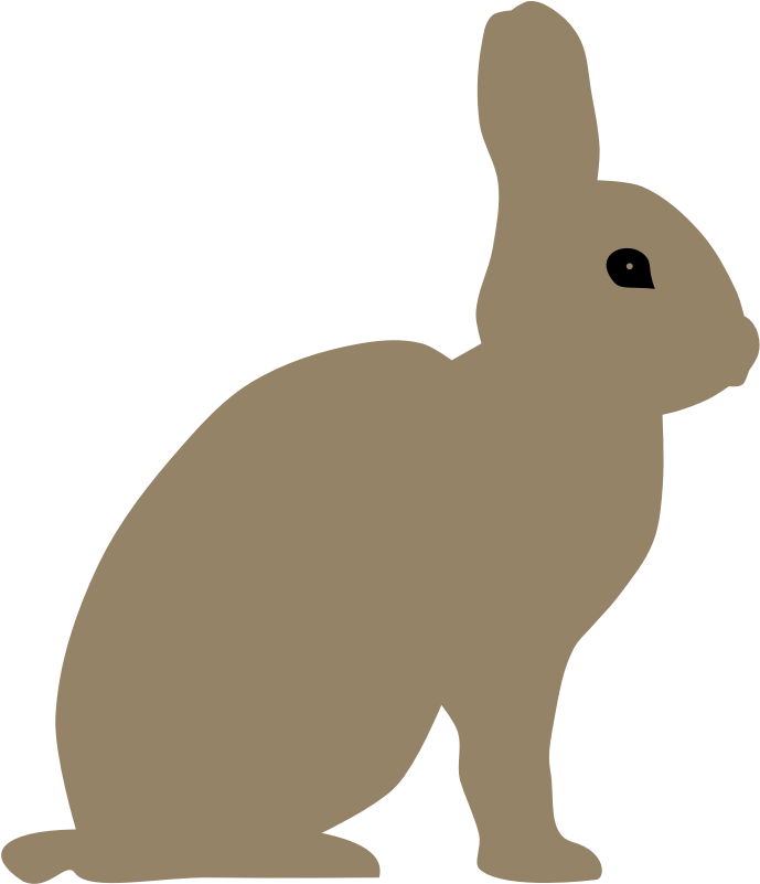 Rabbit By Rones (800x800), Png Download