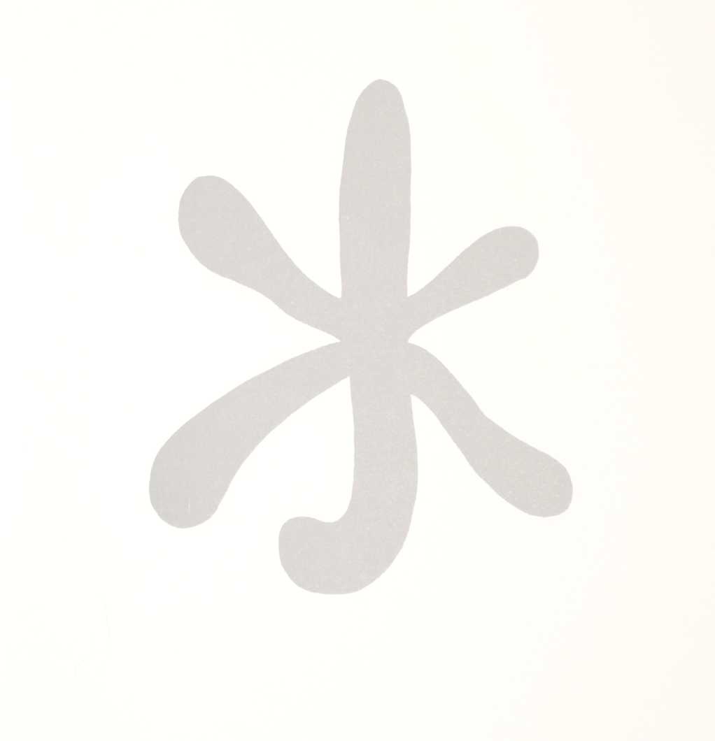 Still Life Photography (1022x1060), Png Download