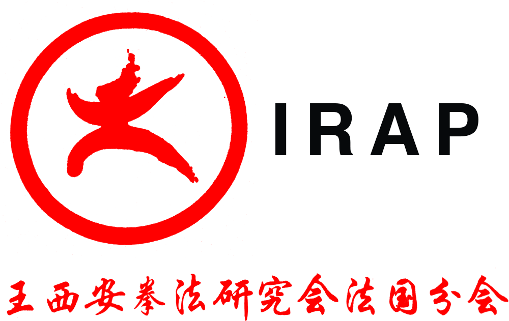 Logo Irap 1 - Graphic Design (1000x700), Png Download