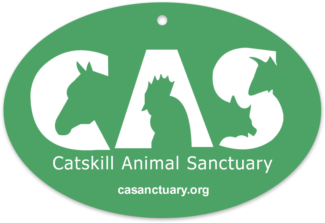 Picture Of Oval Air Freshener - Mines Press (1200x1200), Png Download