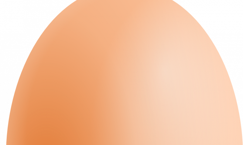 Cc0 Public Domain - Circle (800x480), Png Download