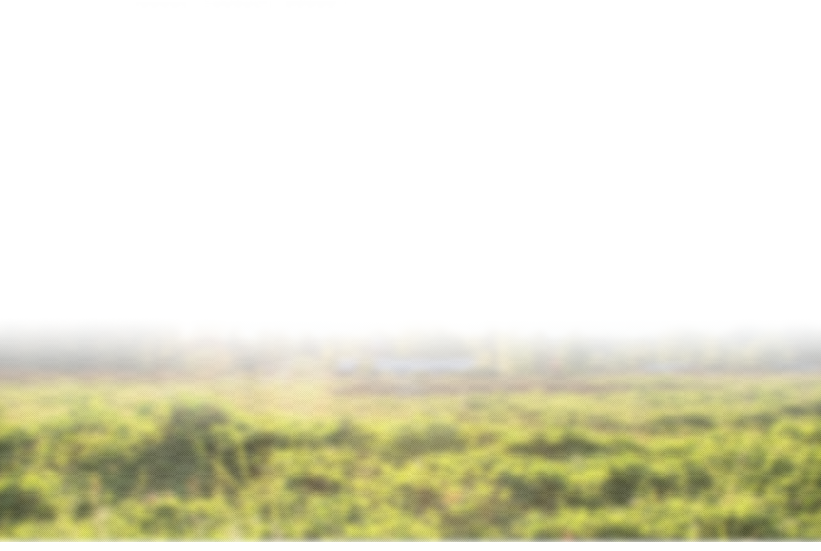 Grass (1600x1073), Png Download