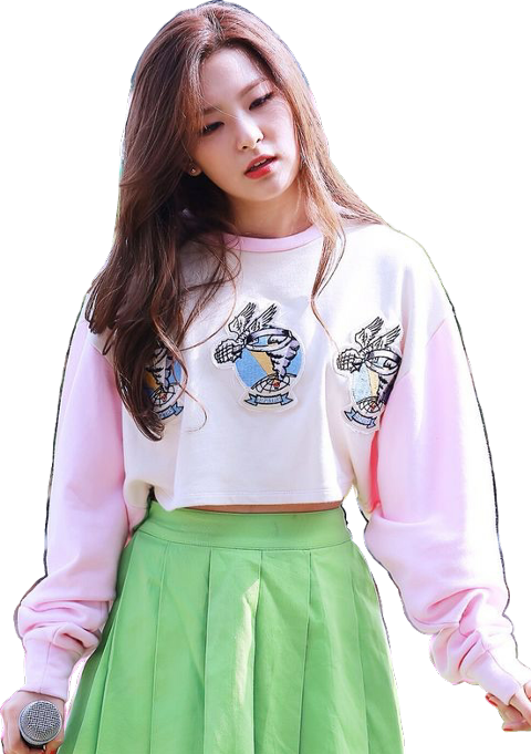 Seulgi (480x681), Png Download