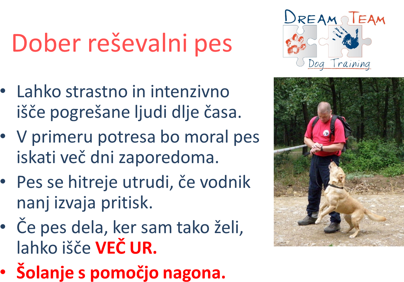 Dreamteam - Dog Catches Something (1374x995), Png Download