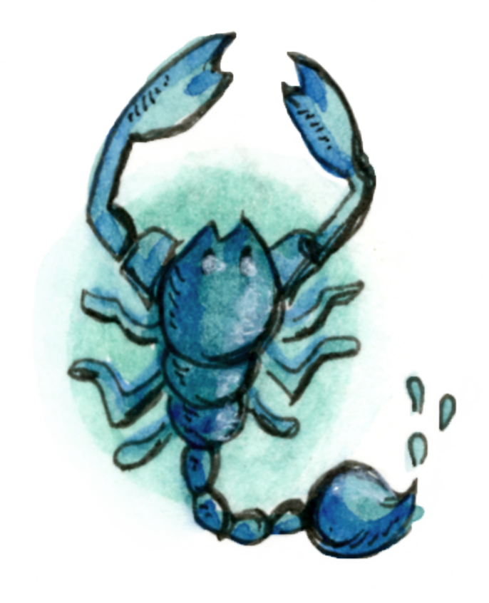 Scorpio - Chesapeake Blue Crab (686x846), Png Download
