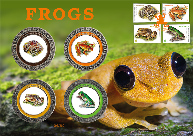 Frogs Prestige Medallion Cover - Toad (800x600), Png Download