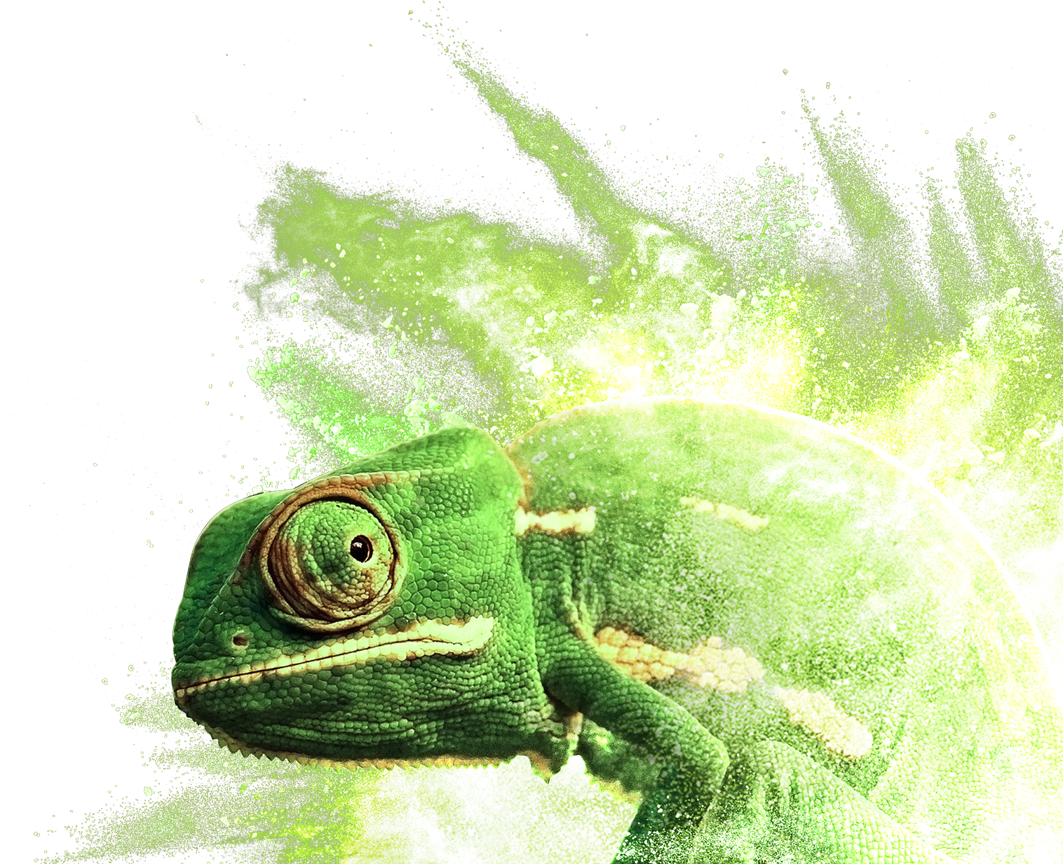 Common Chameleon (2000x1250), Png Download
