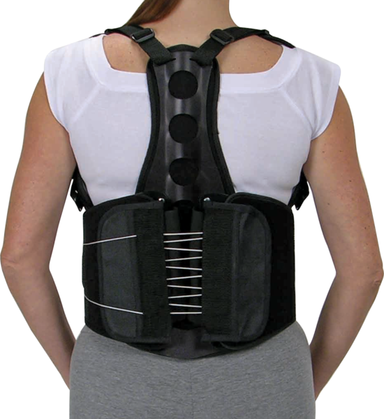 Northeast Orthotics And Prosthetics Orthomerica Eco - Brace For Spine (550x600), Png Download